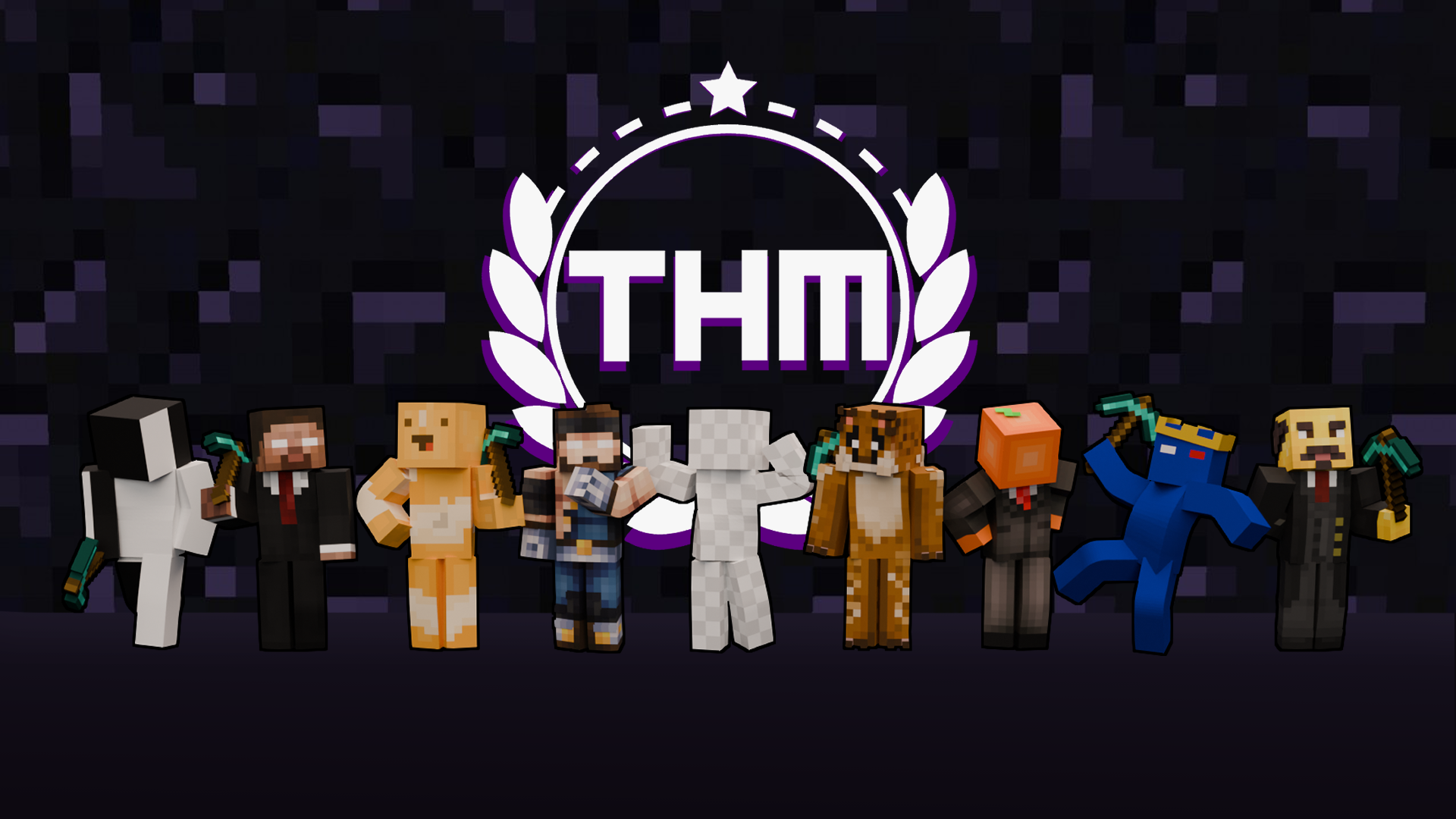 THM Server Banner v1